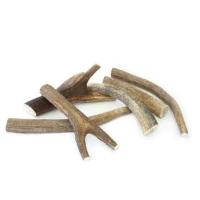 Corna di Cervo Snack per cani - Ferribiella