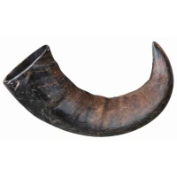 Corno di Bufalo snack da Masticare - Grande - Trixie