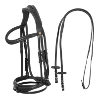 Equestro Testiera inglese Crown in cuoio anatomica