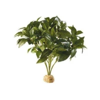 Exo Terra Laurel Bush, Pianta artificiale della Foresta Pluviale
