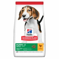 Hill's Puppy Medium al Pollo per Cani 2,5 kg