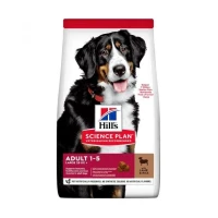 Hill's Science Plan Adult Large Breed Agnello - 12 kg