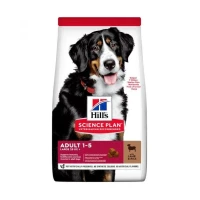 Hill's Science Plan Adult Large Breed Agnello e Riso 12 kg