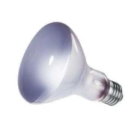 Lampada Spot Daylight 100 W E27 per Terrario Ferplast