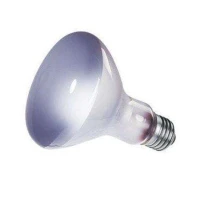 Lampada Spot Daylight Ferplast 150 W E27 per Terrari