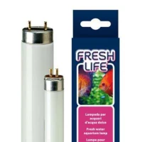 Neon acquario Freshlife 18W T8 - 10000° K - Ferplast