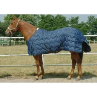 Piumino Invernale Western Americano 350 Grammi 120 Cm Verde