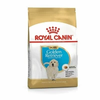 Royal Canin Golden Retriever Puppy