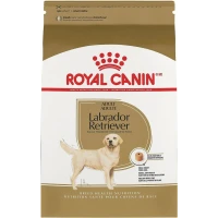 Royal Canin Labrador 3 kg - Mangime secco per cani