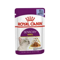 Royal Canin Sensory Smell Jelly per Gatto, 12x85 g