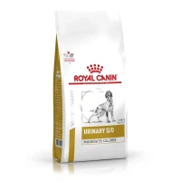 Royal Canin Urinary S/O Moderate Calorie secco 1.5/6.5/12 kg