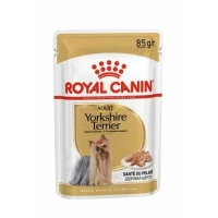 Royal Canin Yorkshire Terrier - Buste 12 x 85 g