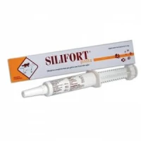 Silifort Pasta 15 g - Aurorabiofarma;Gainte