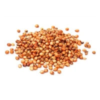 Sorgo Nazionale Cereale per Avicoli e Conigli