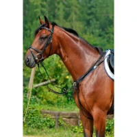 Stubben Pettorale con Elastico e Martingala Scorrevole