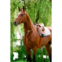 Stubben Pettorale con Running Attachment in Cuoio