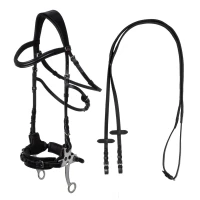 Supreme Briglia con Hackamore in cuoio morbido