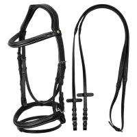 Testiera anatomica rialzata imbottita Equestro