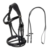 Testiera inglese con brillantini Equestro in cuoio lucido