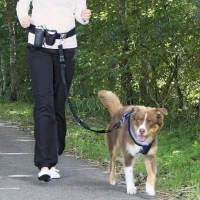 Trixie Cintura In Vita Con Guinzaglio " Mani Libere " Per Cani