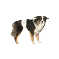 TX Pannolini a Fascia Cani Maschi TG L–XL - TRIXIE