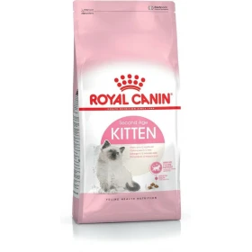 Royal Canin Kitten - Crocchette per gattini, 10 kg