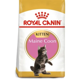 Royal Canin Kitten Maine Coon - Mangime secco per gattini
