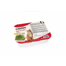 Camon Erba Gatto con Semi di Orzo - Snack Naturale per Gatti