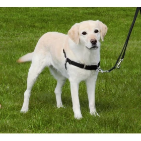 Trixie TX Easy Walk Professional Taglia L/XL per Cani