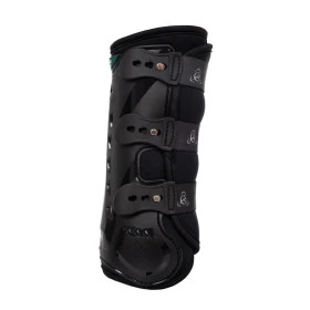 Acavallo Stinchiere Posteriori Dressage Anatomiche