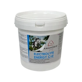 AmaHorse Sali Elettrolitici