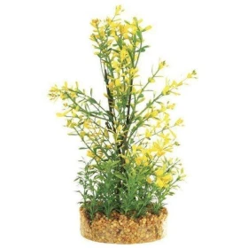 Bacopa 20 Cm - Blu 9111 - Pianta In Plastica