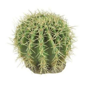 Cactus pianta finta terrario Ferplast
