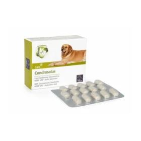 Camon Condrosalus 30 CPR - Integratore per Cani
