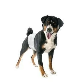 Camon Pannolini a Fascia per Cani Maschi Misura 3