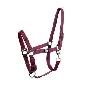 Cavezza per puledro regolabile Supreme con moschettone