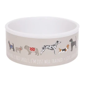 Ciotola in Ceramica per Cane