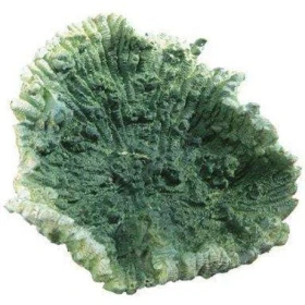 Corallo Verde Small - Blu 9135 - Decorazione In Resina