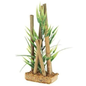 Cyperus Sp. & Bamboo 20 Cm - Blu 9114 - Pianta In Plastica