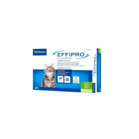 Effipro Spot-On Gatti 4 pipette - Virbac