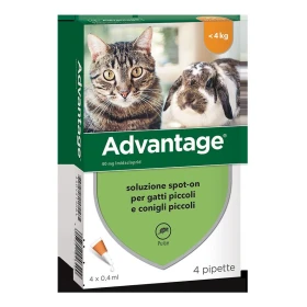 Elanco Advantage 40 Antiparassitario per Gatti