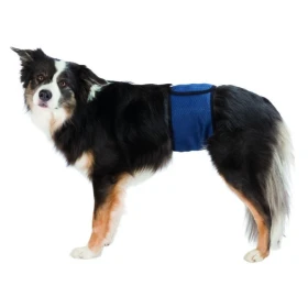 Fascia Igienica per Cani Maschi TG Scuro - Trixie