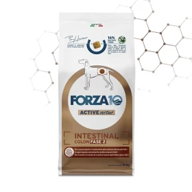 Forza10 Intestinal Colon Fase II per Cani