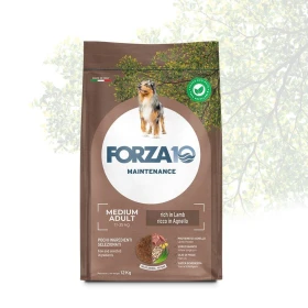Forza 10 Maintenance Medium Agnello e Riso 12 kg