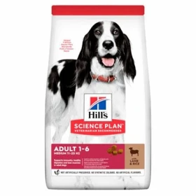 Hill's Cane Mantenimento Agnello e Riso