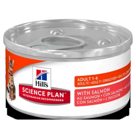 Hill's Mantenimento Salmone 12 x 82 g - Umido per gatti