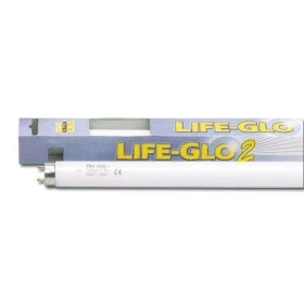 Lampada Neon T8 Life Glo 6700K Askoll per Acquario