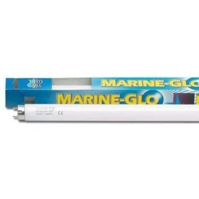 Lampada neon T8 per acquario Marine-Glo blu attinico Askoll