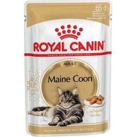 Royal Canin Maine Coon umido per gatto 12 buste da 85 g