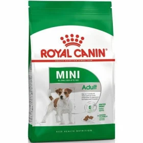 Royal Canin Mini Adult 800 g - Crocchette per cani taglia piccola